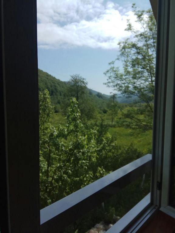 Дома для отпуска Village House Štitarica Мойковац-61