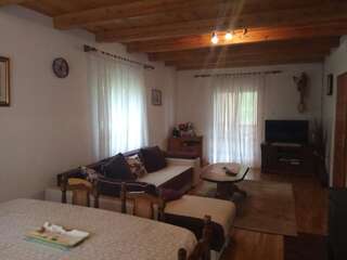 Дома для отпуска Village House Štitarica Мойковац Дом с 4 спальнями-15