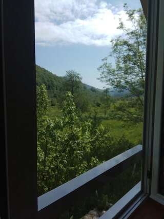 Дома для отпуска Village House Štitarica Мойковац Дом с 4 спальнями-24