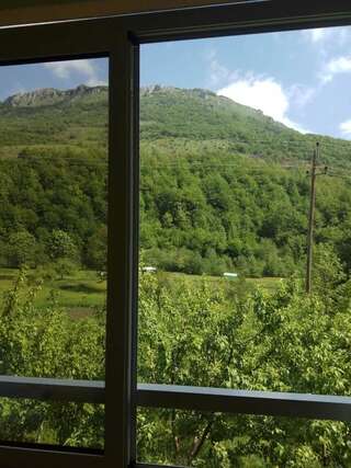 Дома для отпуска Village House Štitarica Мойковац Дом с 4 спальнями-26