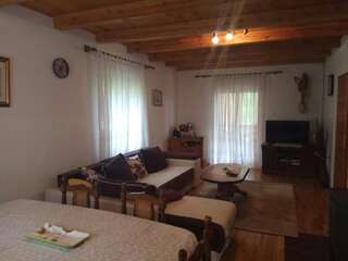 Дома для отпуска Village House Štitarica Мойковац Дом с 4 спальнями-44