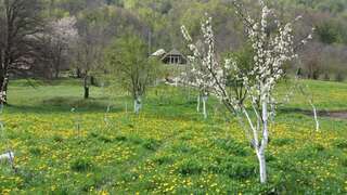 Дома для отпуска Village House Štitarica Мойковац Дом с 4 спальнями-53