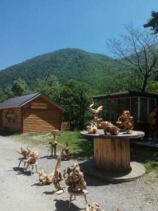 Дома для отпуска Village House Štitarica Мойковац Дом с 4 спальнями-57