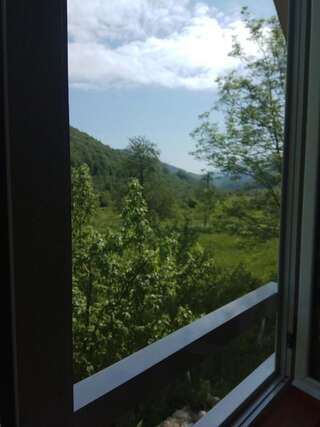 Дома для отпуска Village House Štitarica Мойковац Дом с 4 спальнями-58