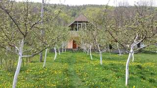 Дома для отпуска Village House Štitarica Мойковац Дом с 4 спальнями-61