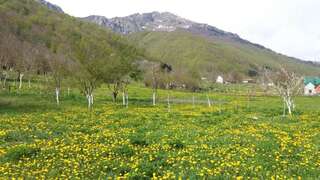 Дома для отпуска Village House Štitarica Мойковац Дом с 4 спальнями-62