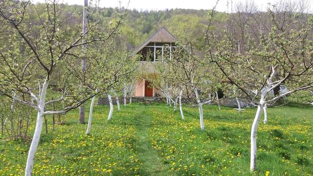 Дома для отпуска Village House Štitarica Мойковац-5