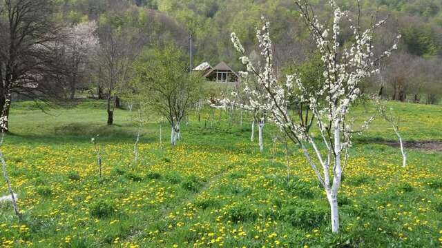 Дома для отпуска Village House Štitarica Мойковац-55