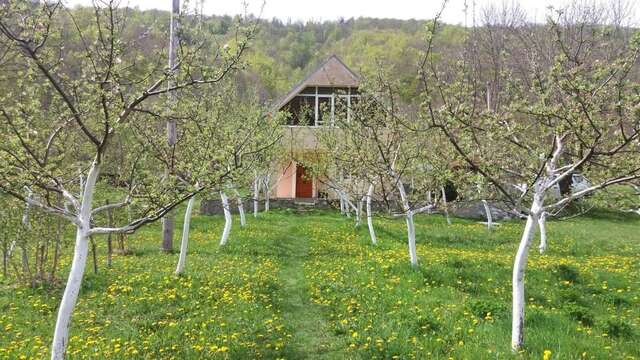 Дома для отпуска Village House Štitarica Мойковац-63